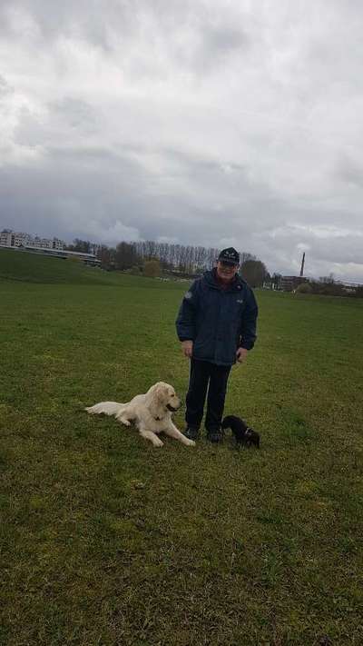 Bester Freund, Hundekumpel - zeigt her!-Beitrag-Bild