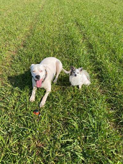 Theos  Fotochallenge Nummer 2-Beitrag-Bild