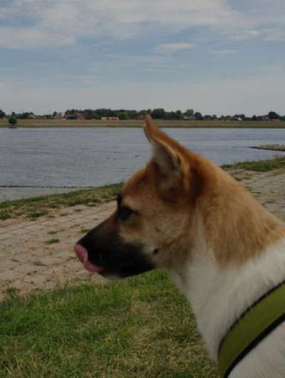 Handyfoto challenge Nr. 13: Waschlappen raus!-Beitrag-Bild