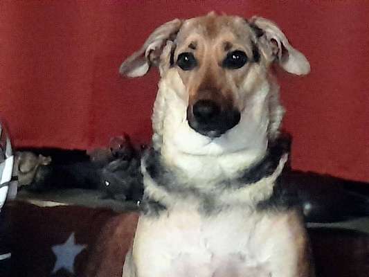 Zeigt eure Portraits-Beitrag-Bild