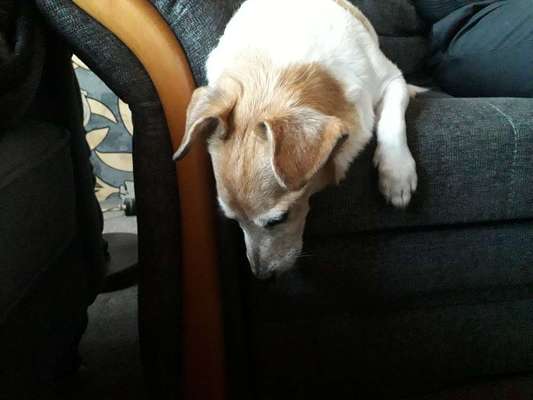 Die unbequemsten und lustigsten Schlafpositionen-Beitrag-Bild