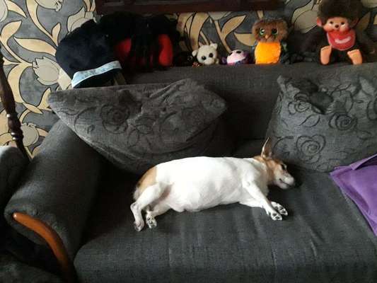 Die unbequemsten und lustigsten Schlafpositionen-Beitrag-Bild