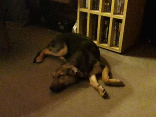 Die unbequemsten und lustigsten Schlafpositionen-Beitrag-Bild