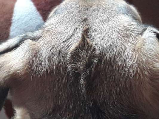 Blick fürs Detail!-Beitrag-Bild