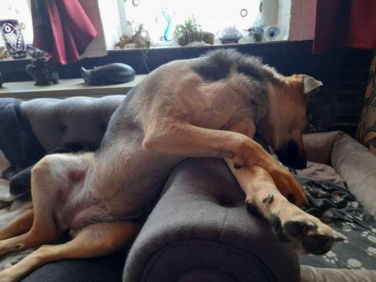 FOTO-Challenge  NR. 91: Die pure Entspannung-Beitrag-Bild