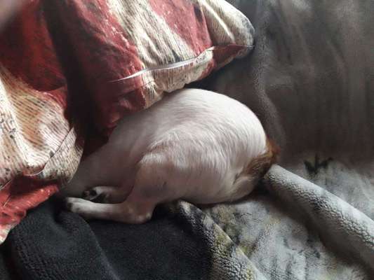 Die unbequemsten und lustigsten Schlafpositionen-Beitrag-Bild