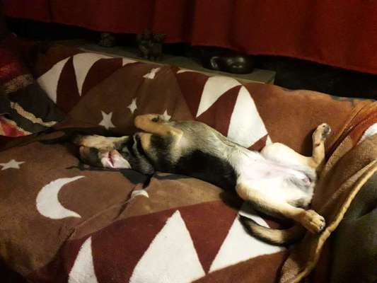 Die unbequemsten und lustigsten Schlafpositionen-Beitrag-Bild