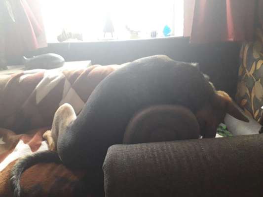 CHALLENGE NR. 34 - Liege-/Schlafpositionen-Beitrag-Bild