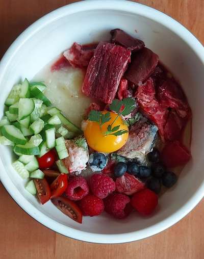 Zeigt her Eure Futternäpfe-Beitrag-Bild