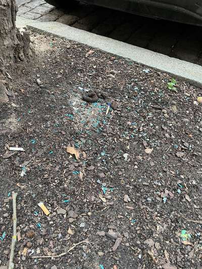 Giftköder-Vermutlich blaues Gift-Bild