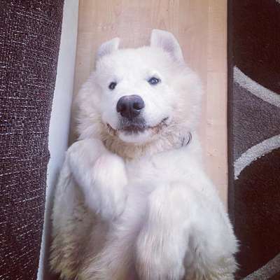 Challenge Nr. 10: "Das schönste Lächeln"-Beitrag-Bild