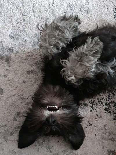 Lustige Grimassen & verrückte Posen-Beitrag-Bild