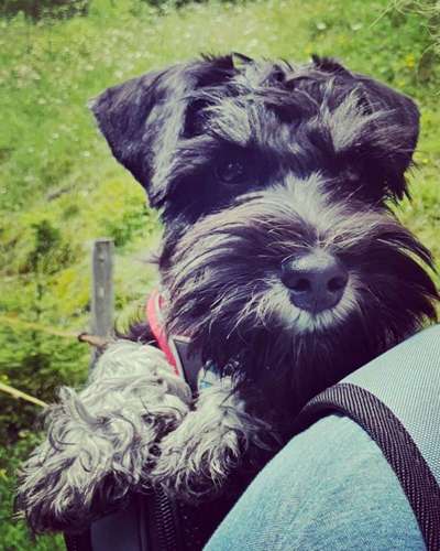 Fotochallenge 101:
On Tour-Beitrag-Bild