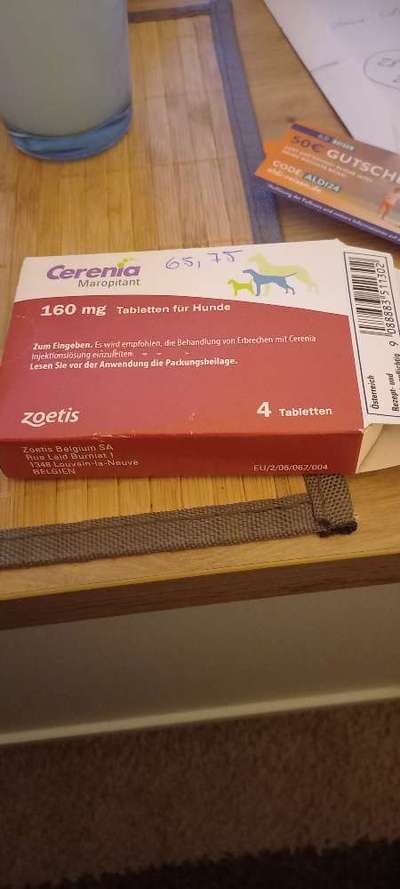 Hilfe: Hund erbricht bei Autofahrten!-Beitrag-Bild