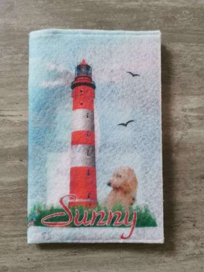 Impfpasshülle ja/nein?-Beitrag-Bild