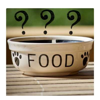 %{de_profession_title}-Termin: Allg. Ernährungsberatung-Bild