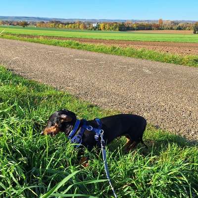 Brigitte's Profilbild