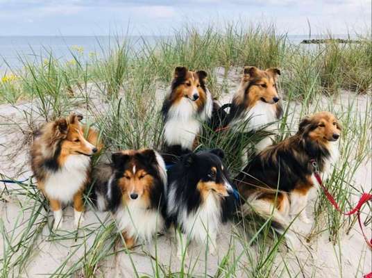 Fotowettbewerb Natur-Beitrag-Bild