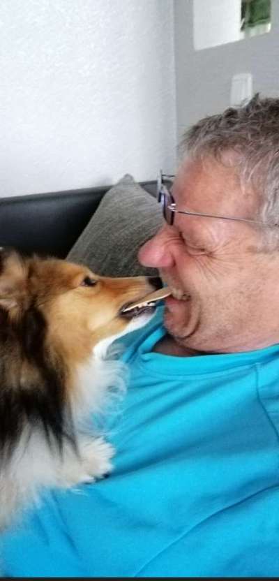 Comedyprogramm Hund:-Beitrag-Bild