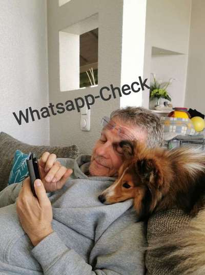 14. Handyfoto-Challenge: "BUDDY-Builder"-Beitrag-Bild