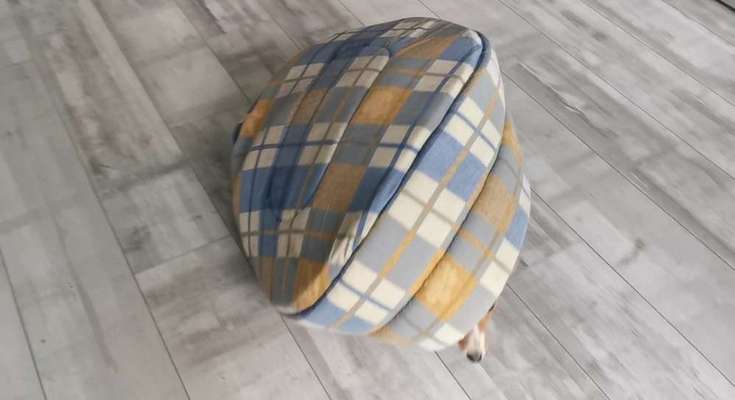 143. Fotochallenge: Ja, wo isser denn?-Beitrag-Bild