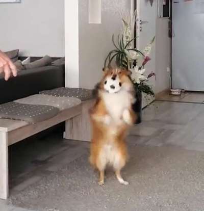 45. Handy - Foto - Challenge-Beitrag-Bild