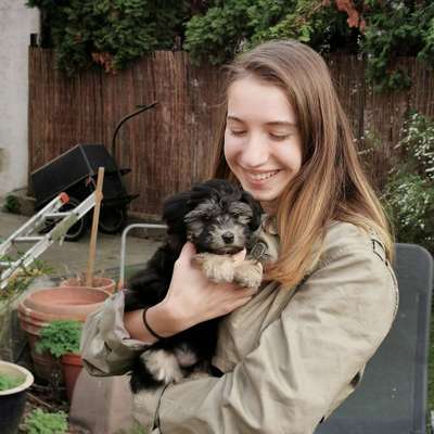 Hundetreffen-Welpentreffen in Ladenburg