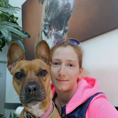 Hundetreffen-Gassirunde in Raesfeld