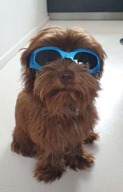 Hier ist der Spaßthread. Zum Schmunzeln und Kaputtlachen-Beitrag-Bild