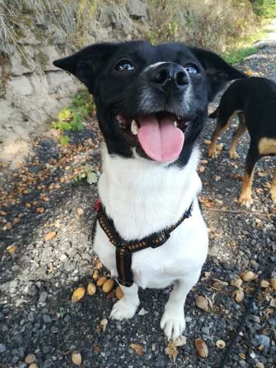 Immer lächeln !-Beitrag-Bild