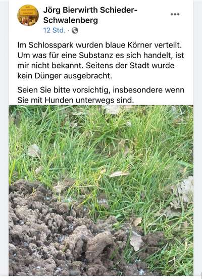 Giftköder-Blaue Körner-Bild
