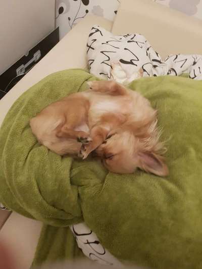 Die unbequemsten und lustigsten Schlafpositionen-Beitrag-Bild