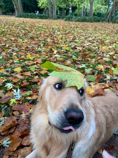 Lieblingsbild-Beitrag-Bild