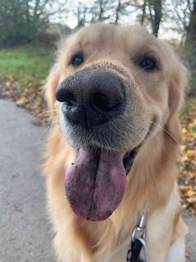 Fotochallange Nr. 57     PORTRÄT.   Beendet!!!!!!!!-Beitrag-Bild