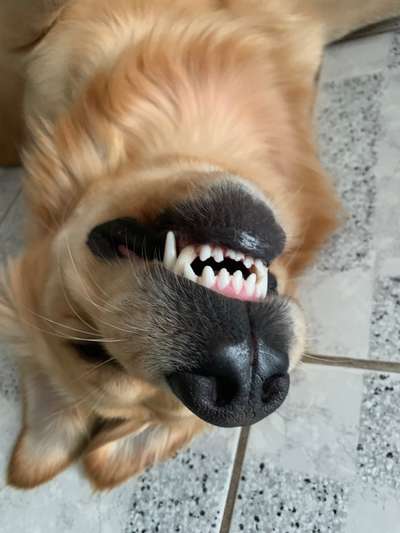 Her mit dem Grimassen-Beitrag-Bild