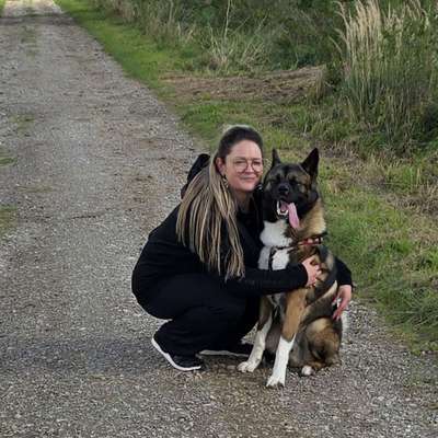 Hundetreffen-Akita Liebhaber,, Social Walk"-Bild