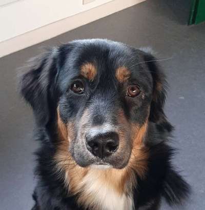 Fotochallange Nr. 57     PORTRÄT.   Beendet!!!!!!!!-Beitrag-Bild