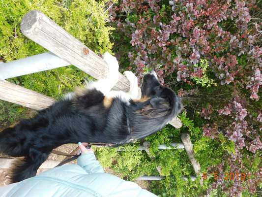 Lieblingsbild-Beitrag-Bild