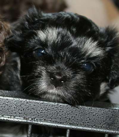 Foto Challenge 3-Beitrag-Bild