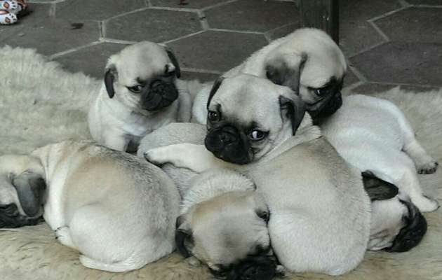 Foto Challenge 3-Beitrag-Bild