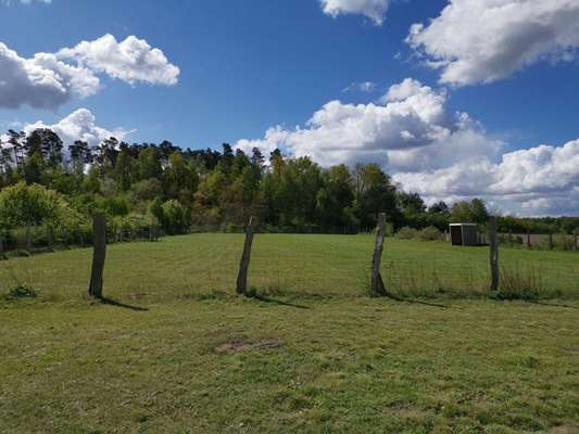 Hundetreffen-Freilauffläche Vögelsen-Bild