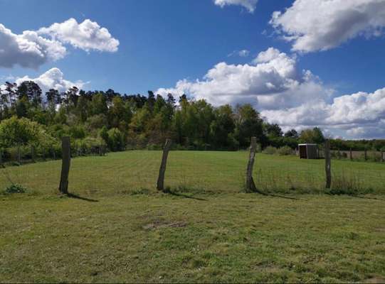 Hundeauslaufgebiet-Vögelsen-Bild