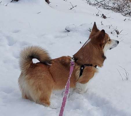 Blick fürs Detail!-Beitrag-Bild