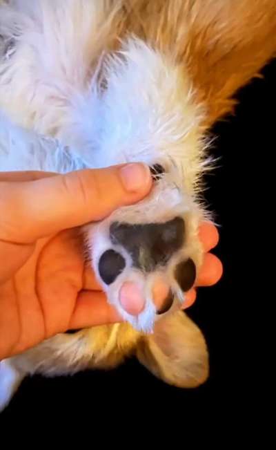 Blick fürs Detail!-Beitrag-Bild