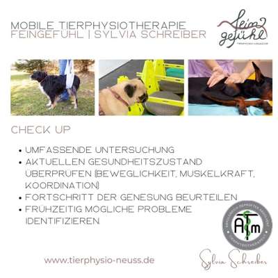 %{de_profession_title}-Präventiver Checkup-Bild