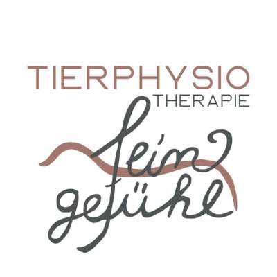 Medizinische Dienstleistungen-Tierphysiotherapie Feingefühl | Neuss-Bild