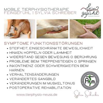 Giftköder-Physiotherapie-Bild