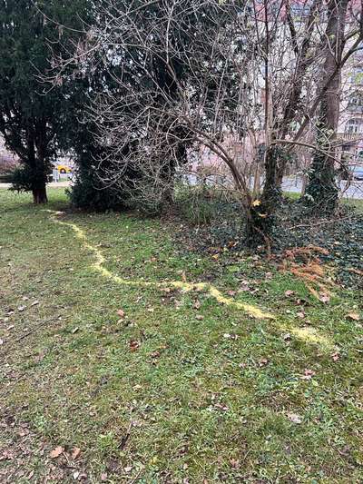 Giftköder-Giftköder oder Vogelfutter (Archivpark)-Bild