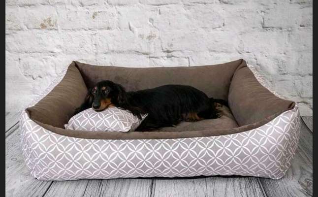 Hundebett 120x100x25-Beitrag-Bild