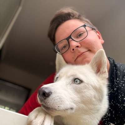 Hundetreffen-Treffen spazieren gehen und spielen-Bild